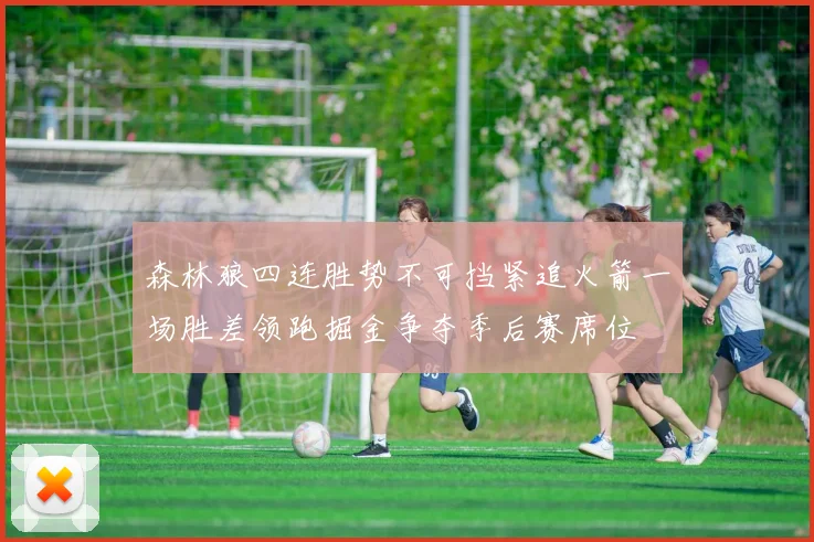 森林狼四连胜势不可挡紧追火箭一场胜差领跑掘金争夺季后赛席位