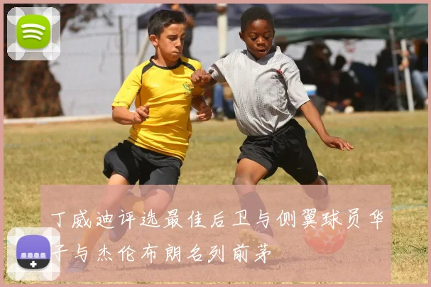 丁威迪评选最佳后卫与侧翼球员华子与杰伦布朗名列前茅