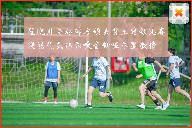 翟晓川与赵睿方硕共赏王楚钦比赛现场气氛热烈嗓音嘶哑尽显激情