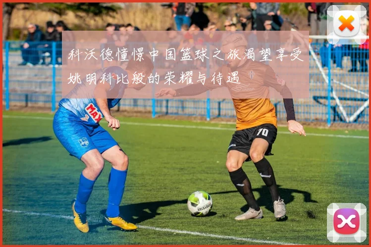 科沃德憧憬中国篮球之旅渴望享受姚明科比般的荣耀与待遇