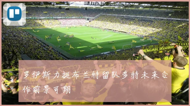 罗伊斯力挺布兰特留队多特未来合作前景可期