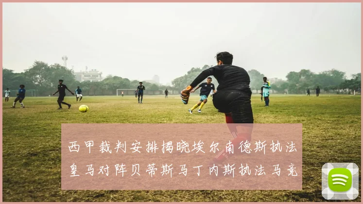 西甲裁判安排揭晓埃尔南德斯执法皇马对阵贝蒂斯马丁内斯执法马竞比赛