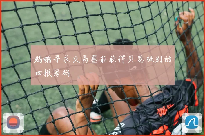 鹈鹕寻求交易墨菲获得贝恩级别的回报筹码